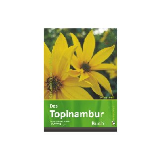 Frischer Topinambur